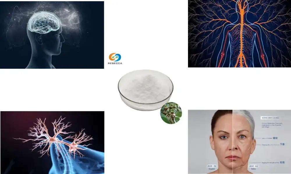 Natural Stress Relief with Helicid Powder Natural Stress Relief with Helicid Powder